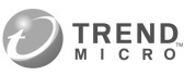 CSI Ireland work with trend micro products